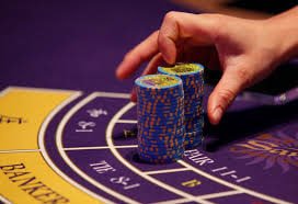 z bus casino